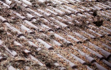 Erlestoke roof cleaning companies